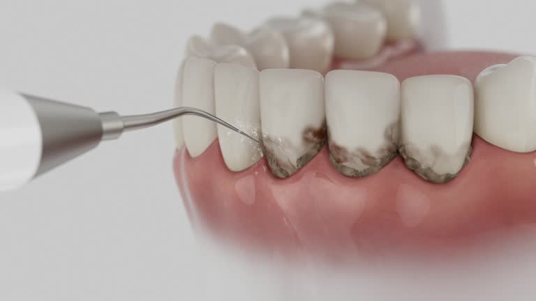 Reliable Dental contractor in Homer, MI by Dentist Open Now